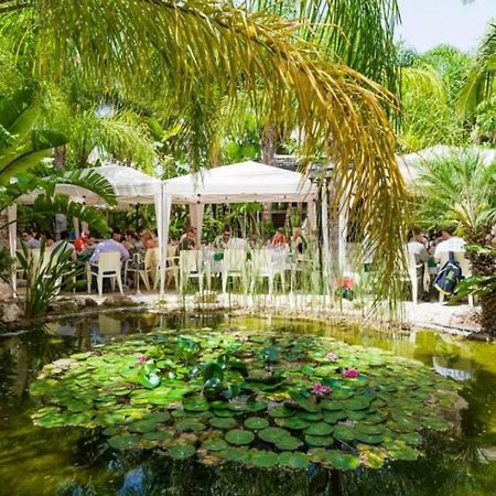 Garden Luxury Apartment Ajía Nápa Eksteriør bilde