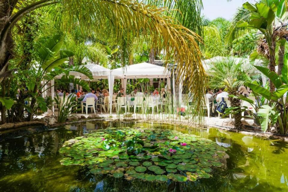 Garden Luxury Apartment Ajía Nápa Eksteriør bilde