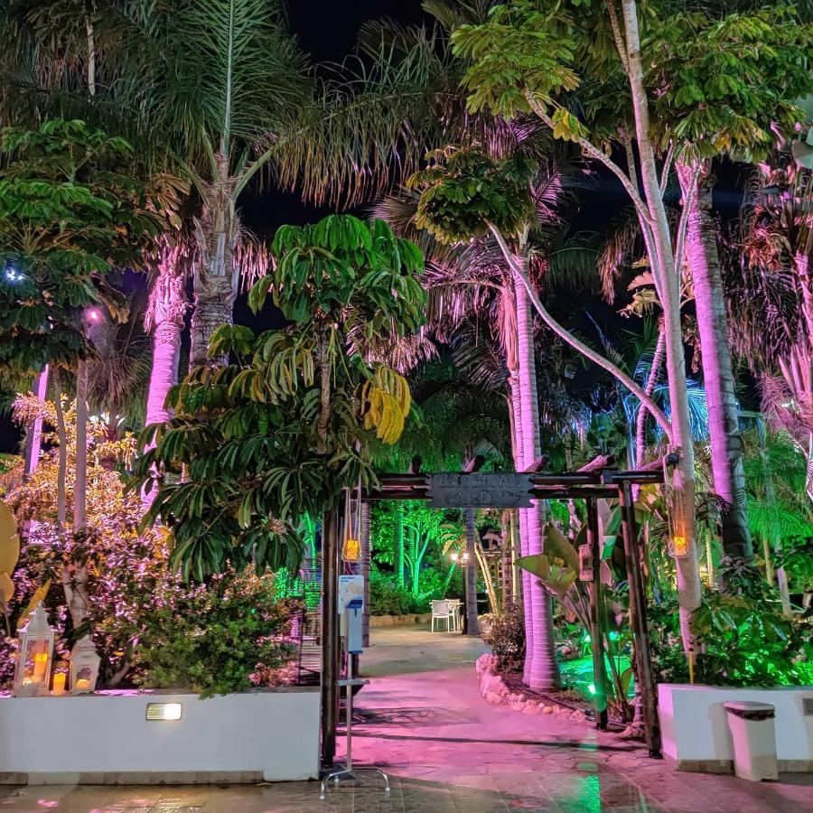 Garden Luxury Apartment Ajía Nápa Eksteriør bilde
