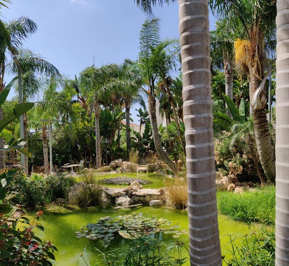 Garden Luxury Apartment Ajía Nápa Eksteriør bilde